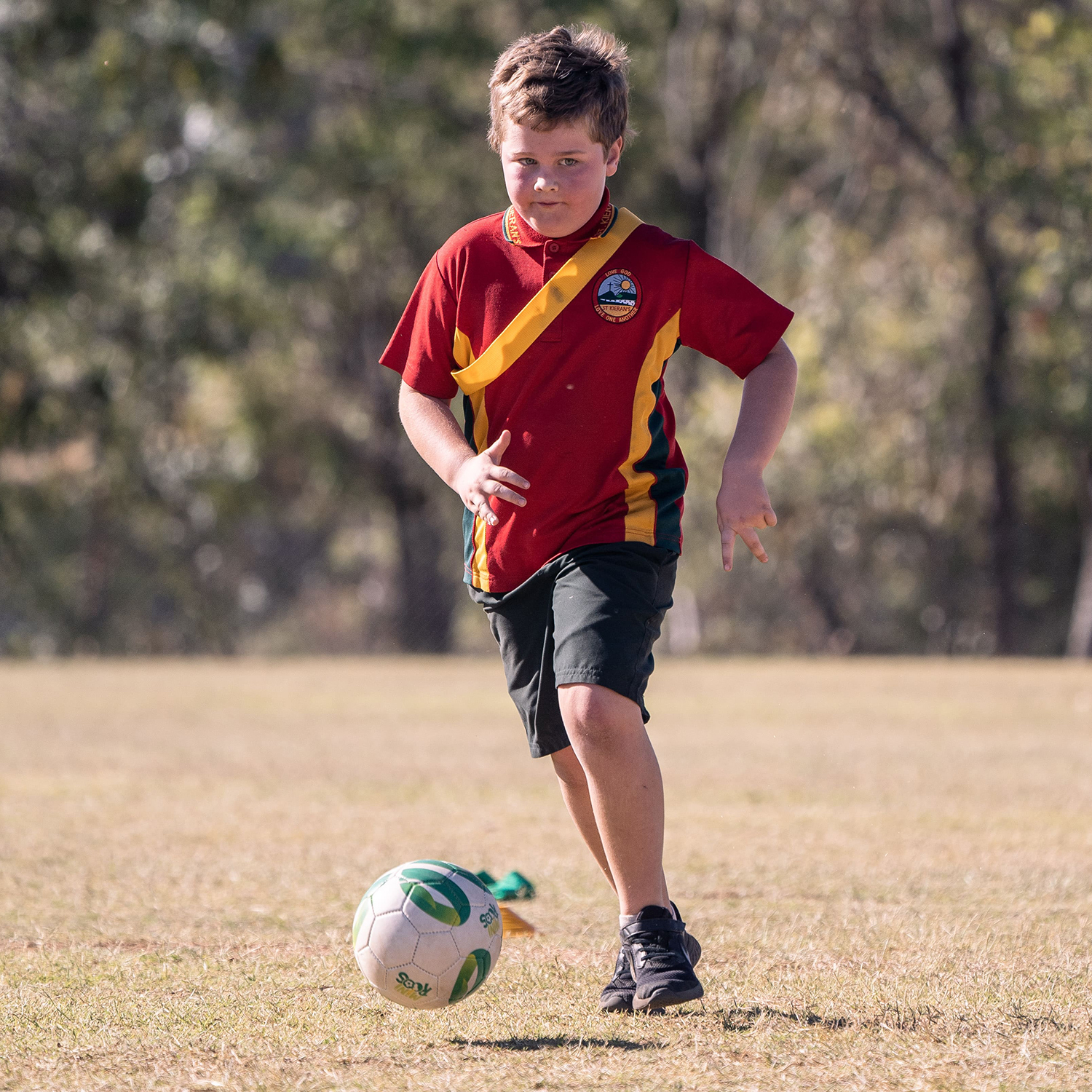 MiniRoos