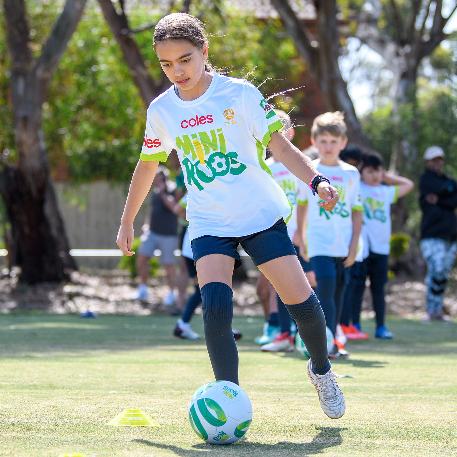 MiniRoos