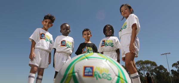 ALDI MiniRoos - Summer