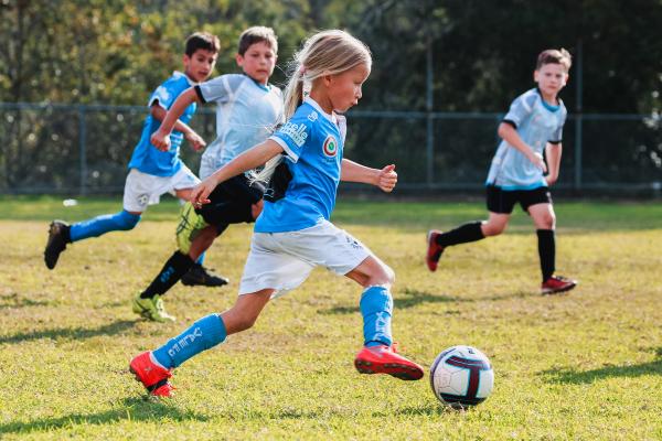 Miniroos - Changing the game