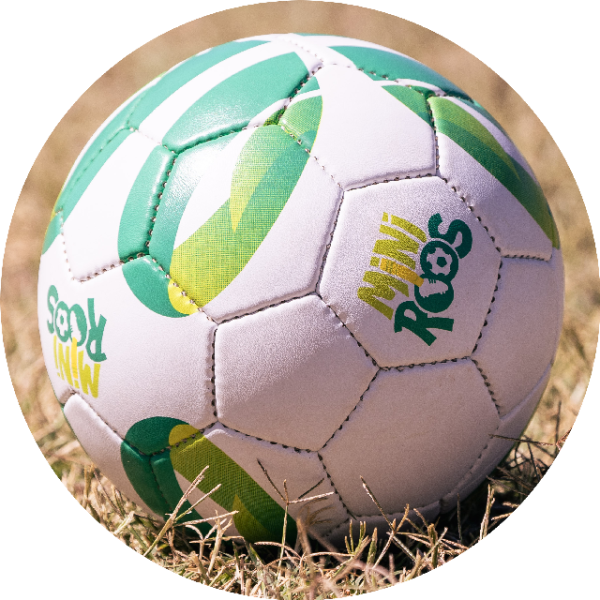 MiniRoos Ball